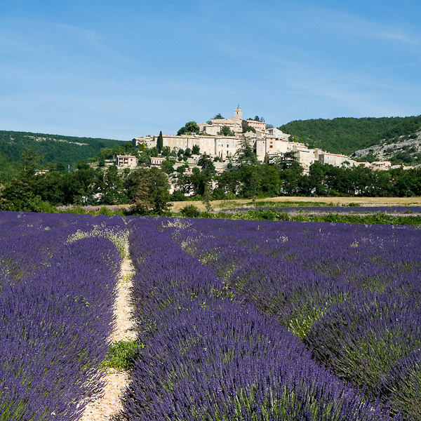 PGM Provence-